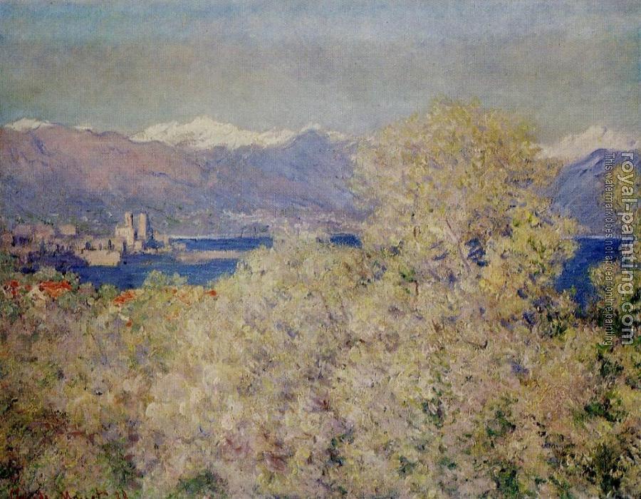 Claude Oscar Monet : Antibes, View of the Salis Gardens